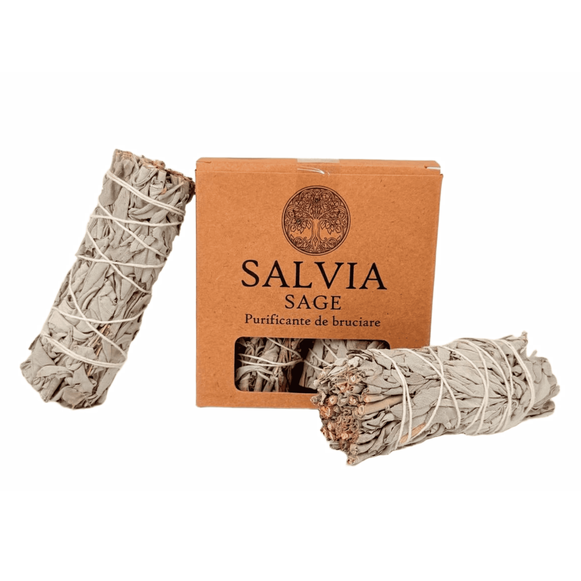 Salvia Salvia (confezione da 2)